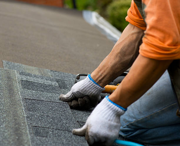Best Gutter Installation and Roofing  in Juarez, TX
